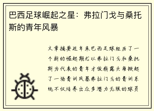 巴西足球崛起之星：弗拉门戈与桑托斯的青年风暴